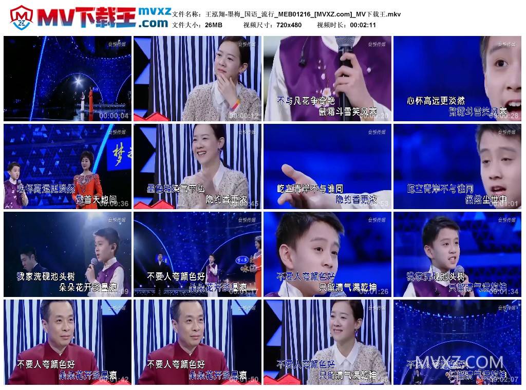 王泓翔-墨梅_国语_流行_MEB01216